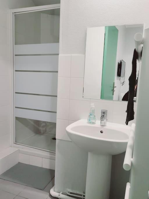 Appartement Proche Disneyland Parc Asterix "Appart'4" Pierrefitte-sur-Seine Esterno foto